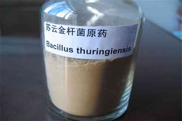 Bt 16000iu Mg Wp Bio Pesticide