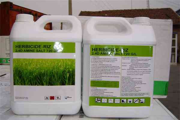 High Effective Herbicide 2 4 D Amine Salt 720g L 