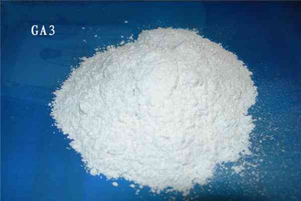 Plant Growth Regulator of Gibberellic Acid GA3 10 20 Tablet