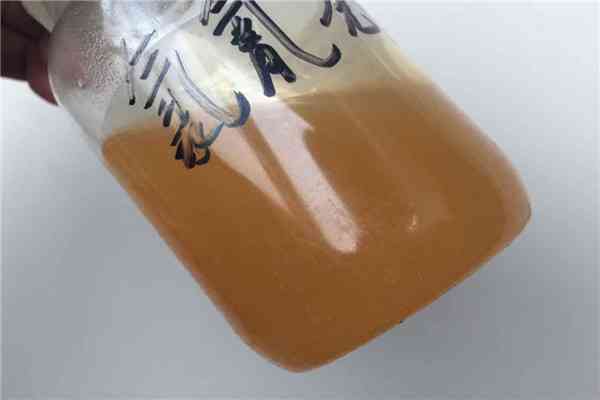 Quizalofop P ethyl Benazolin ethyl