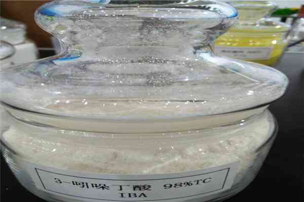Rooting Agent Indolebutyric Acid IBA 99 