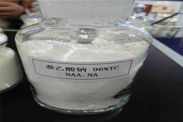 Roots Promoter Naphthylacetic Acid Naa 98 Increase Fruit Setting Rate